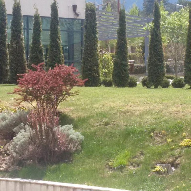 Пирин Резиденс Хотел - Снимка 10