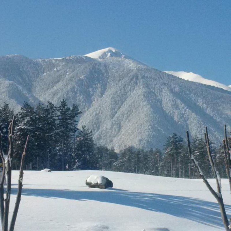 Пирин Резиденс Хотел - Снимка 7