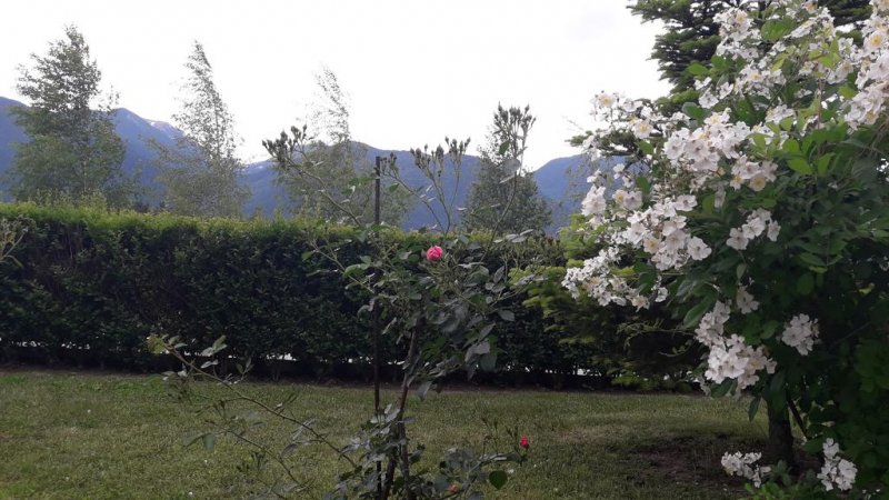 Пирин Резиденс Хотел - Снимка 3