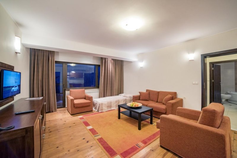 Smilen Hotel - Снимка 11