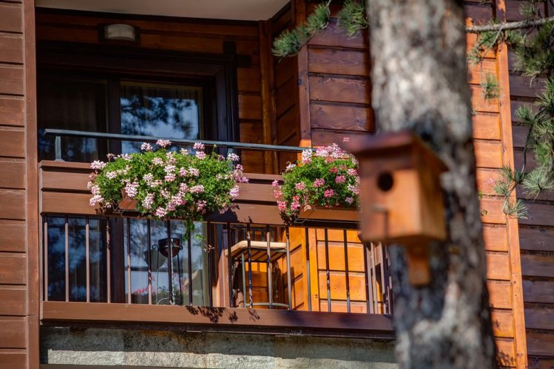 Парк Хотел Макси Велинград - Снимка 3