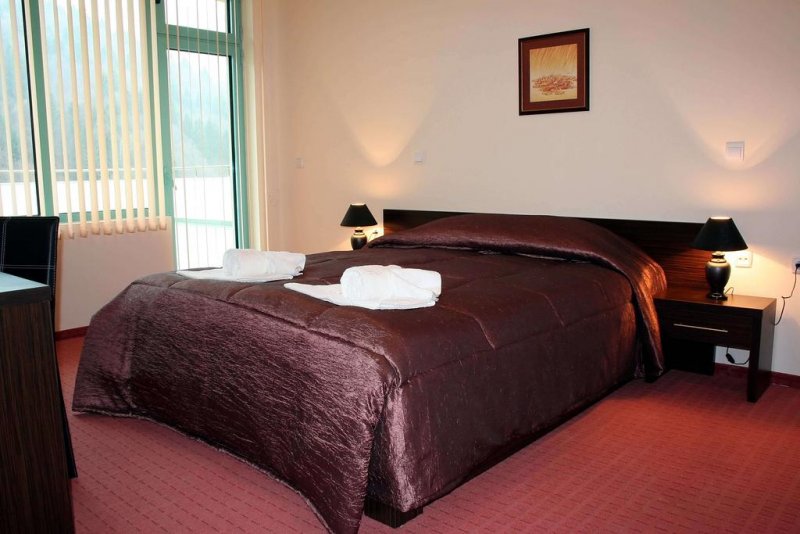 Хотел Дикас - Снимка 7