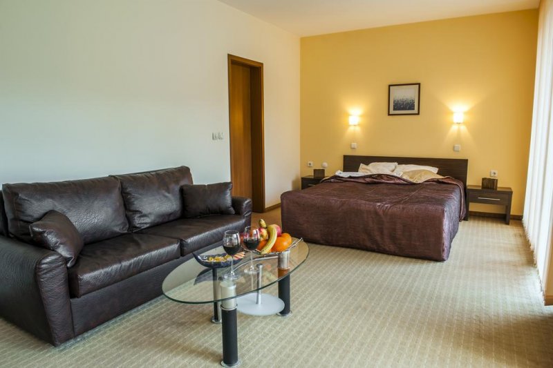 Хотел Дикас - Снимка 1