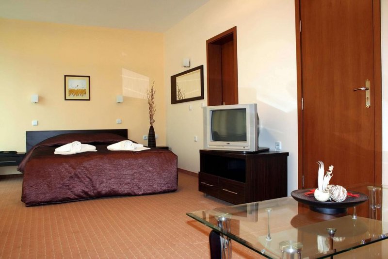 Хотел Дикас - Снимка 3