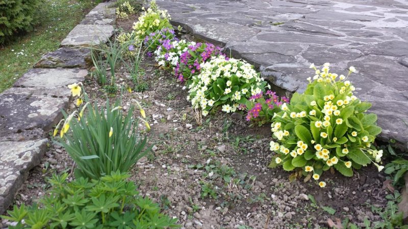 Хотел Света гора - Снимка 8