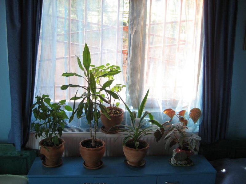 Къща за гости При чорбаджийката - Снимка 7