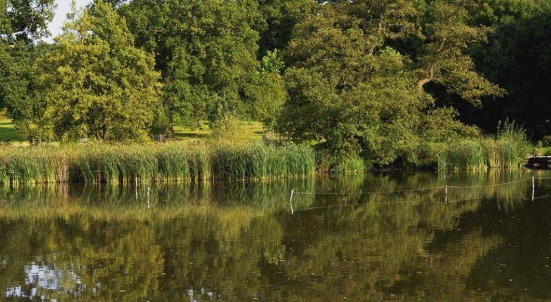 Maritim Saray Regency Resort & SPA - Снимка 7