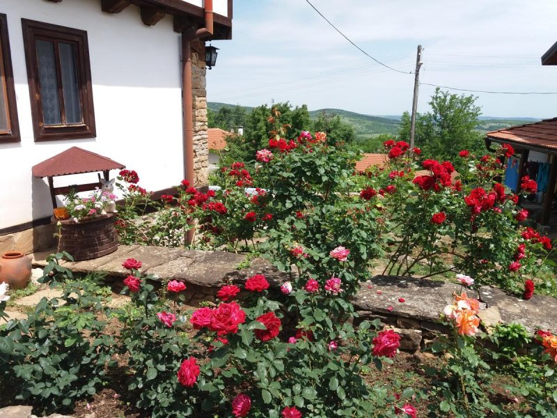 Балканджийската къща - Снимка 4