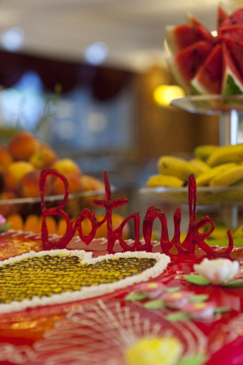 Kemer Botanik Resort - Снимка 11