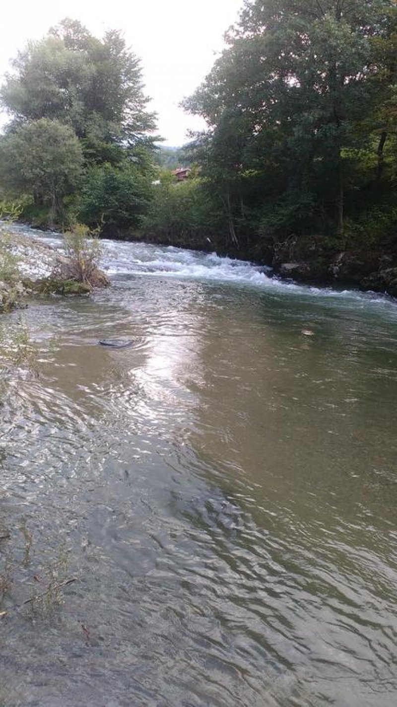 Семеен хотел Вирджин - Снимка 11