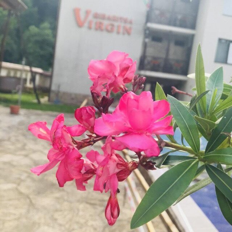 Семеен хотел Вирджин - Снимка 11