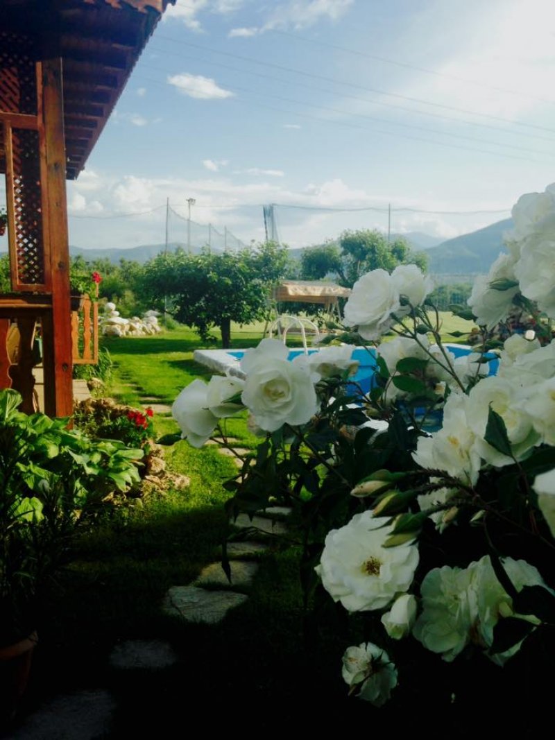 Вила Оазис - Снимка 4