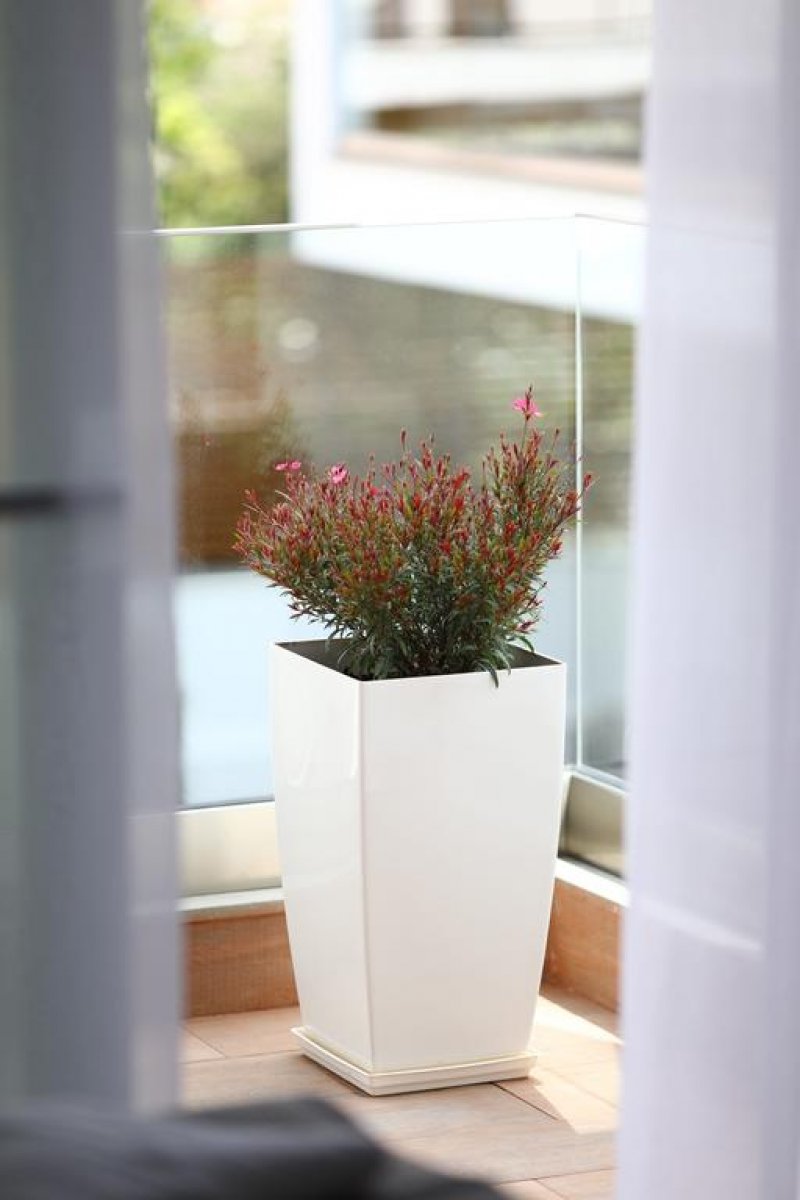 Апартаменти Sole - Снимка 10