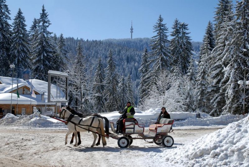 Хотел Преспа - Снимка 9