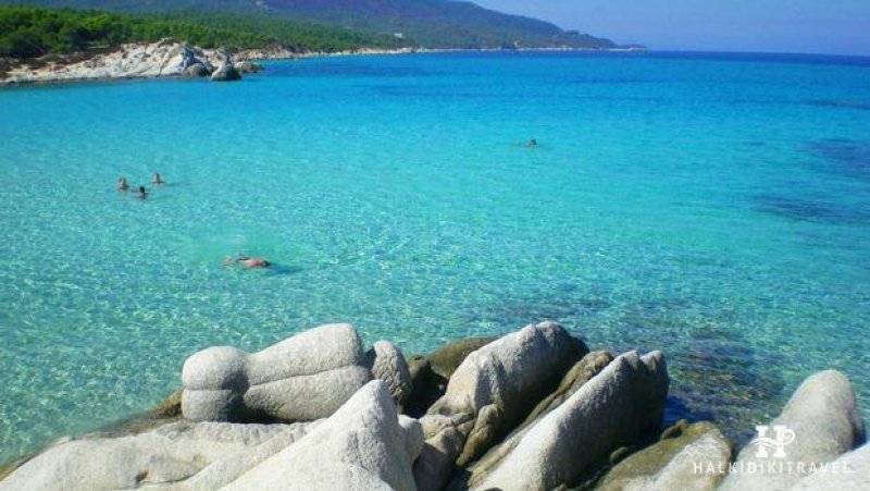 Forest Park - Снимка 10