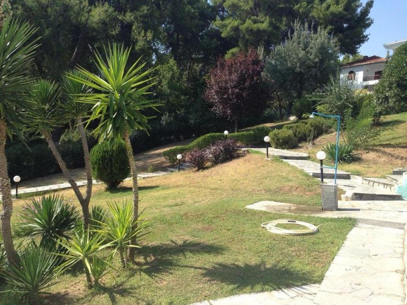 Forest Park - Снимка 7