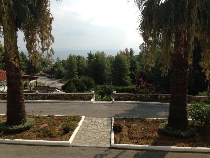 Forest Park - Снимка 10