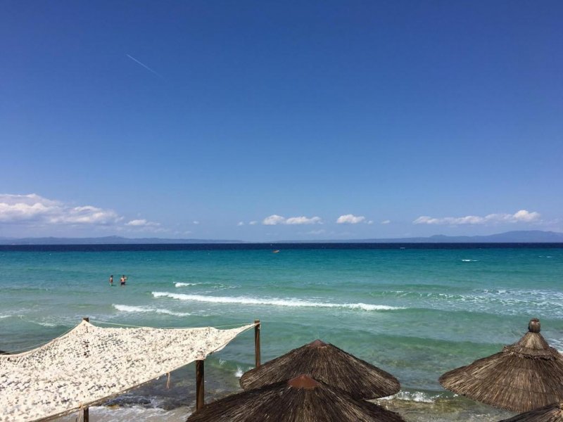 Forest Park - Снимка 2