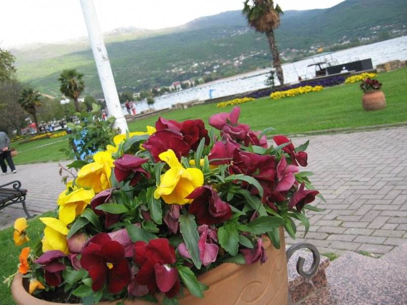 Вила Коста - Снимка 7