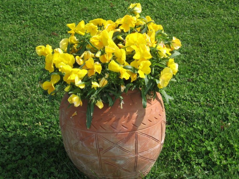 Вила Коста - Снимка 8