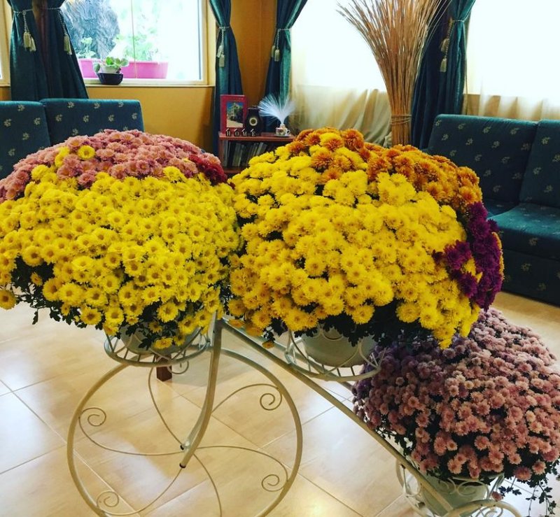 Hotel Alegro - Снимка 9