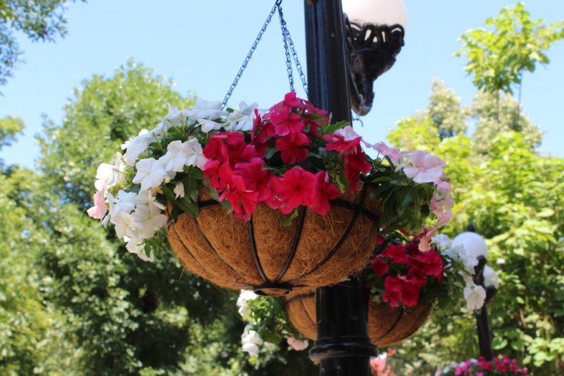 Hotel Alegro - Снимка 10