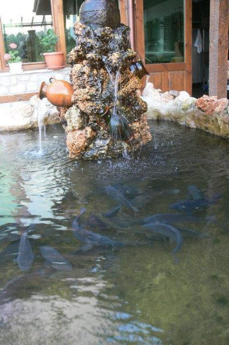 хотел Аджев хан - Снимка 9