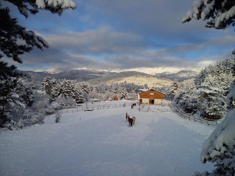 Приключенска къща и конна база Русалиите - Снимка 10