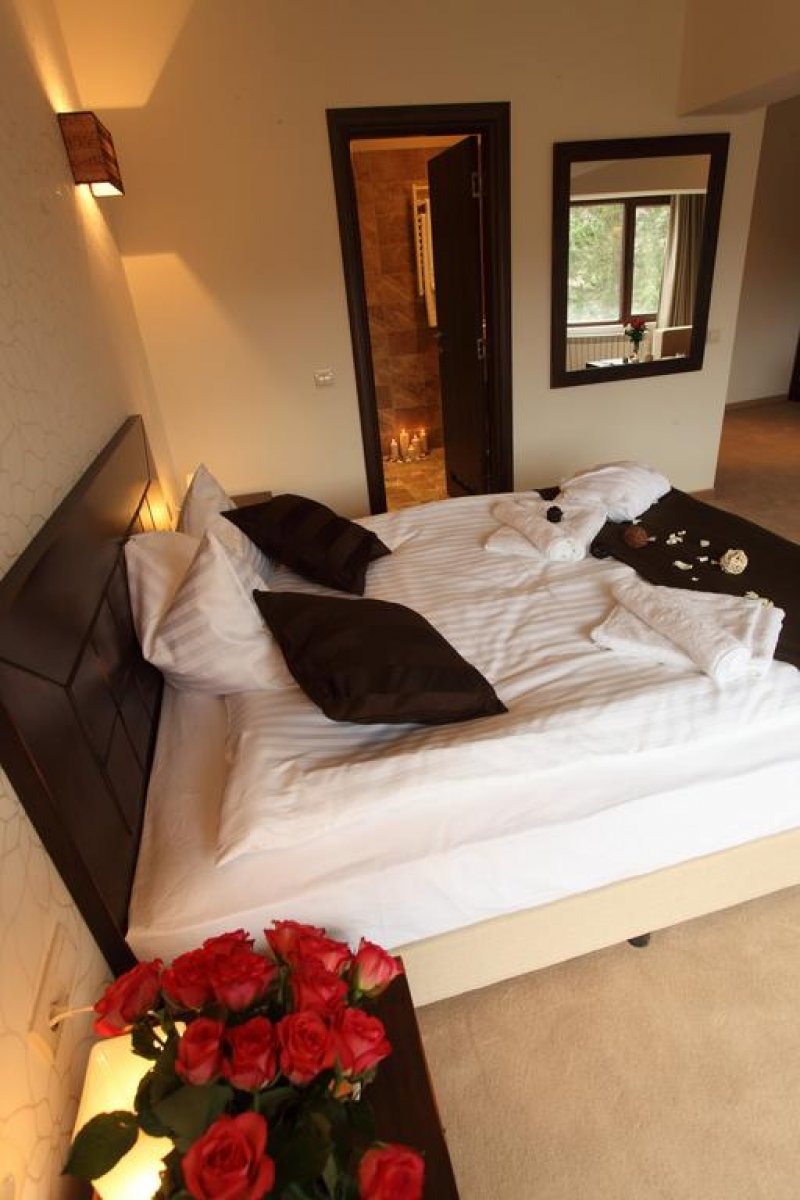 Хотел Пар Авион - Снимка 10