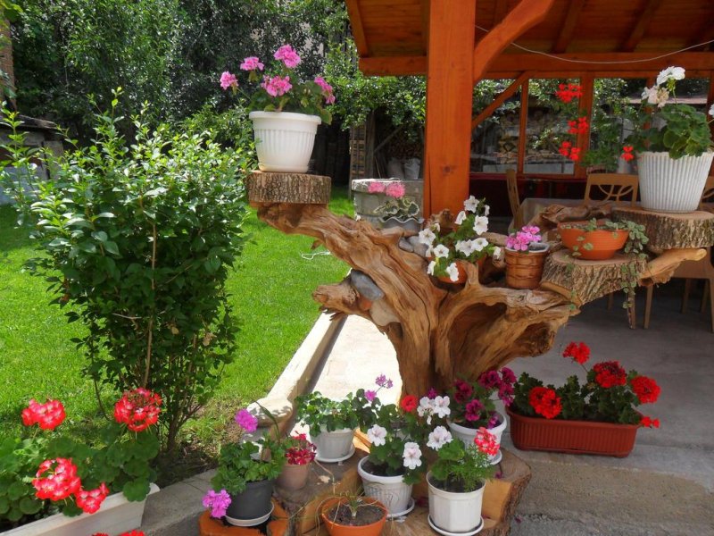 Къща за гости Виен - Снимка 7