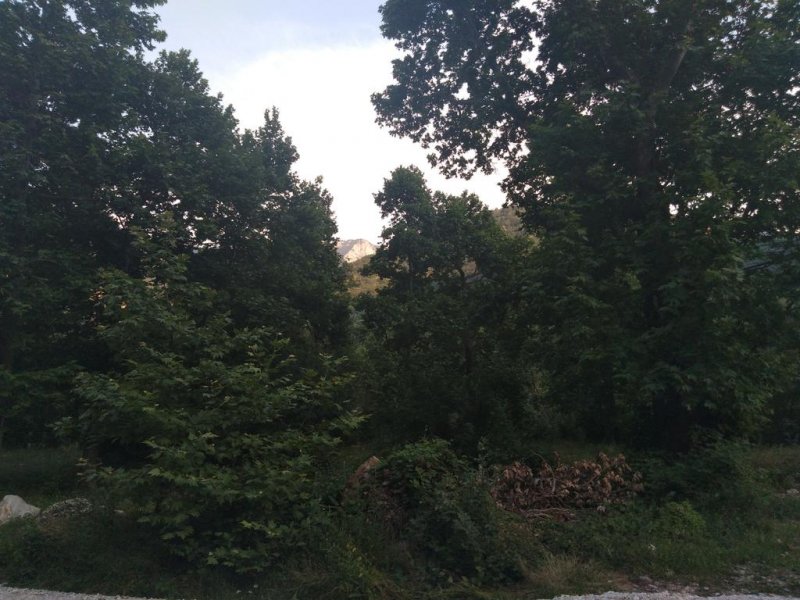  комплекс Магията на Родопите - Снимка 7