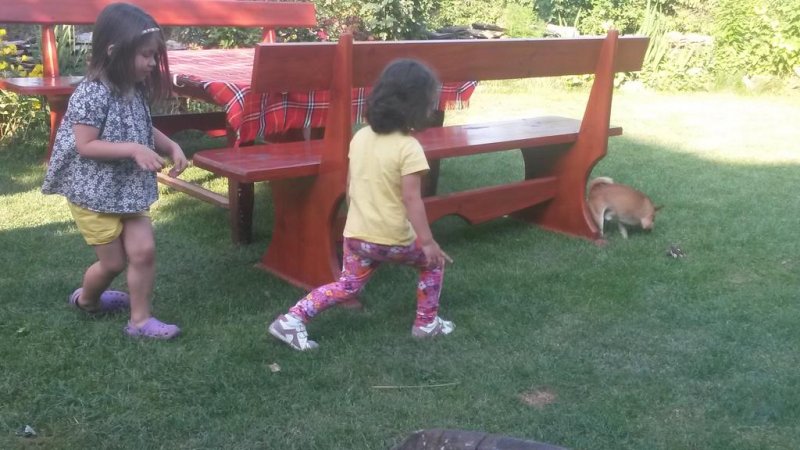 Къща за гости Шарковата Къща - Снимка 7