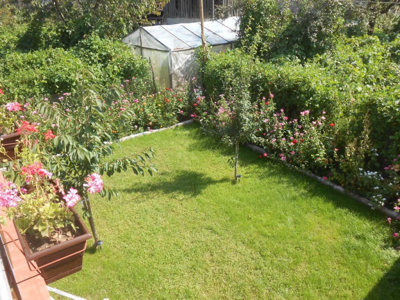 Къща за гости Къщата на тъщата - Снимка 10