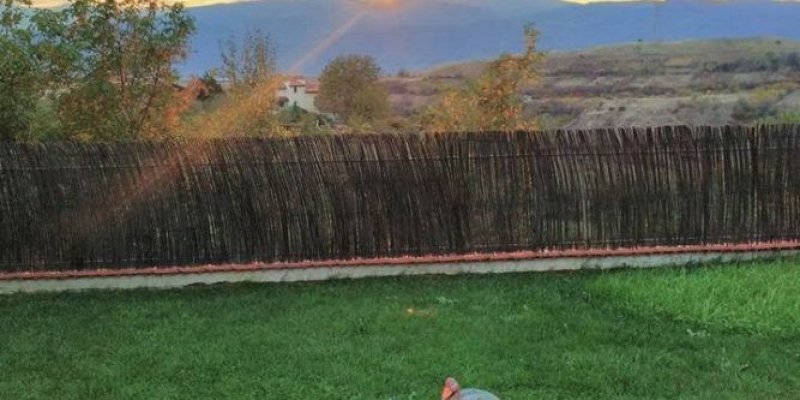 Къща за гости Гикинска къща - Снимка 10