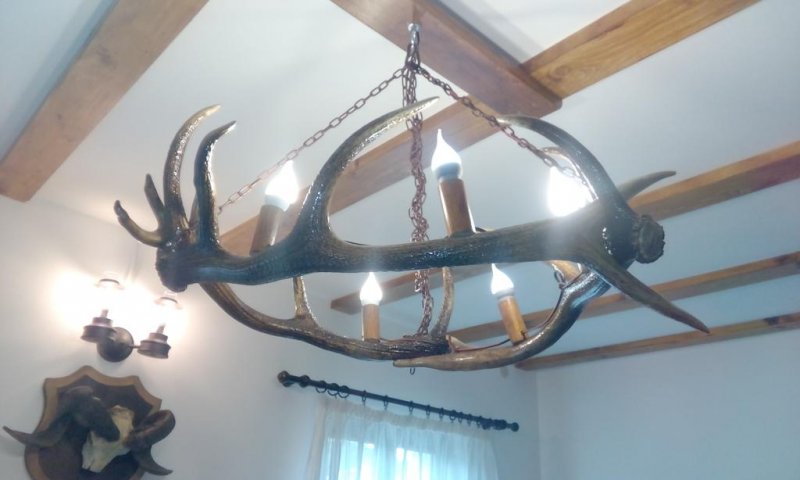 Къща за гости Вила дива - Снимка 3