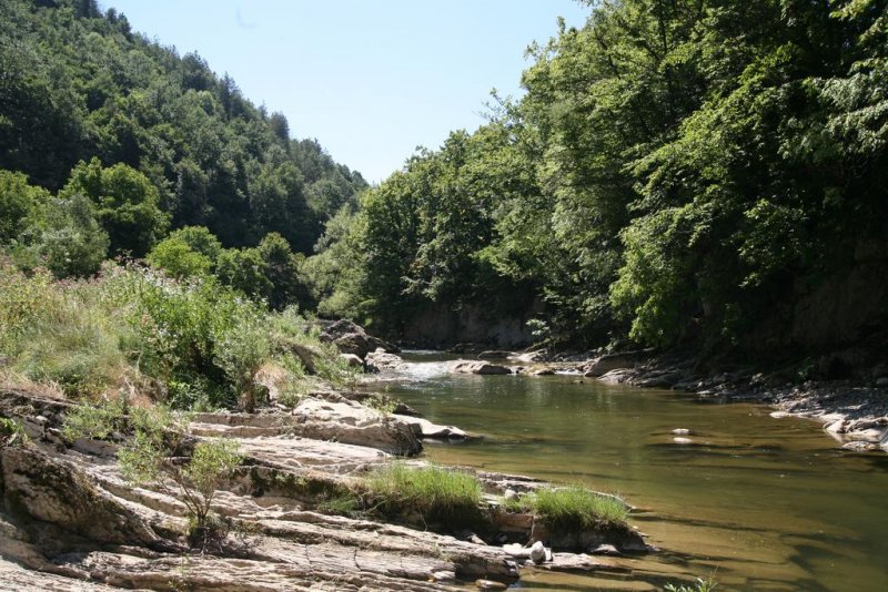 Къща за гости Вила дива - Снимка 5