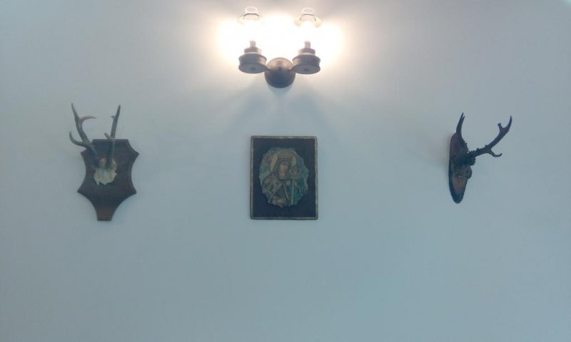 Къща за гости Вила дива - Снимка 1