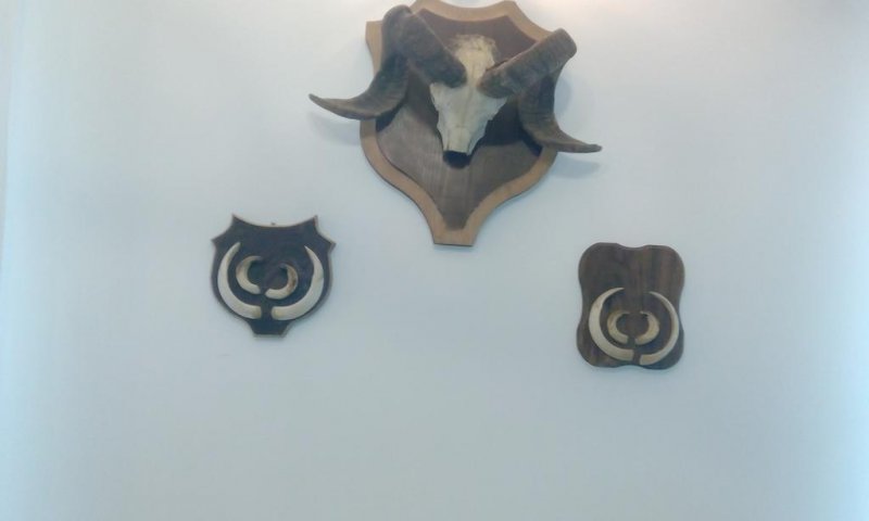 Къща за гости Вила дива - Снимка 3