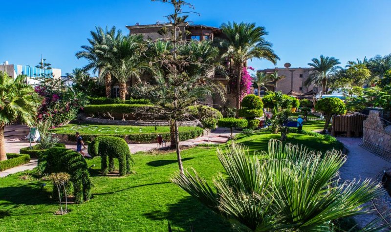 Seagull Beach Resort  - Снимка 10