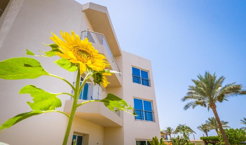 Seagull Beach Resort  - Снимка 2