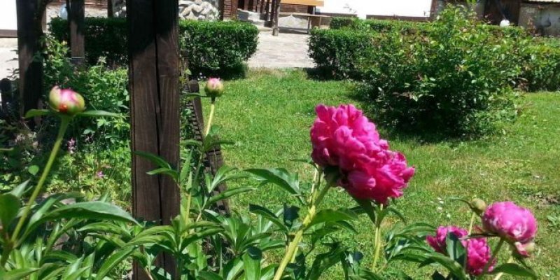 Къща Равеста - Снимка 5