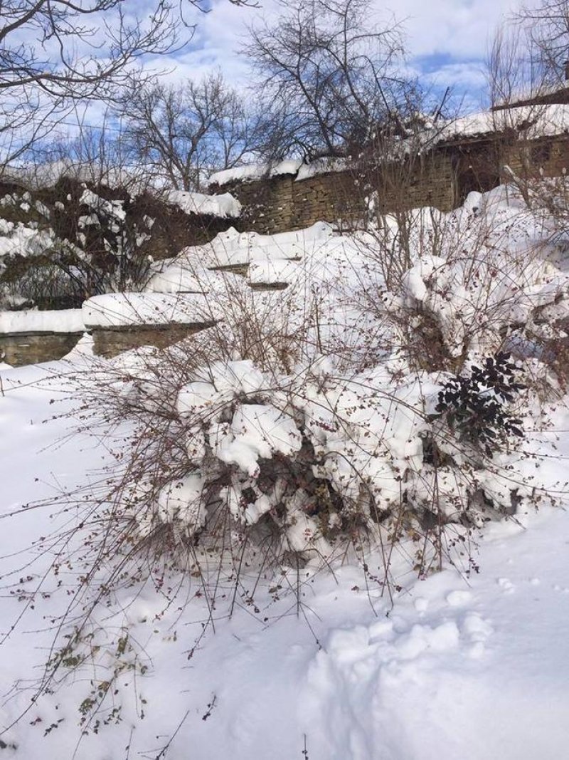 Ралевата къща - Снимка 8