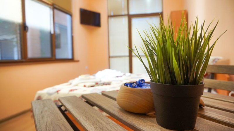 Къща за гости Памир - Снимка 2