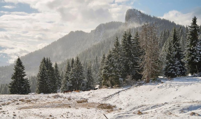 Хотел Невястата - Снимка 4