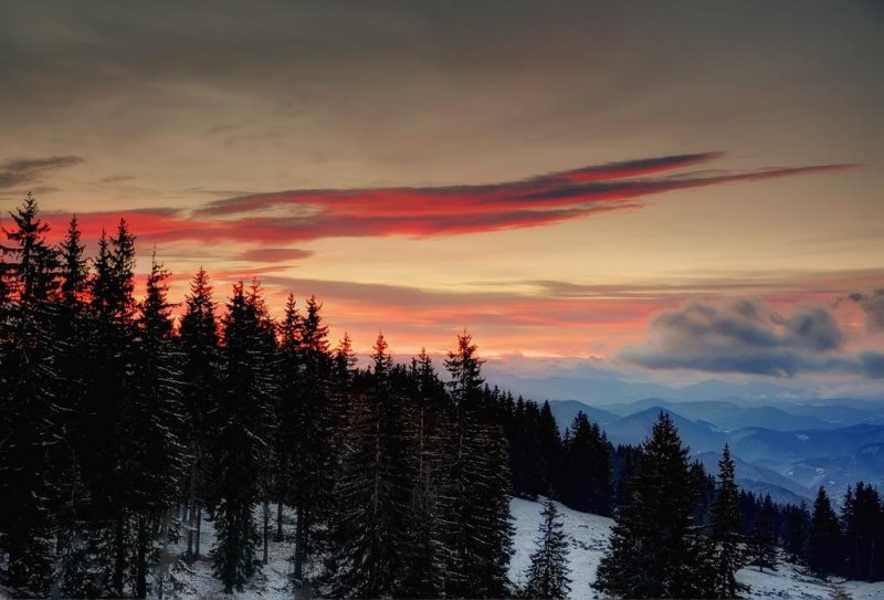 Хотел Невястата - Снимка 11