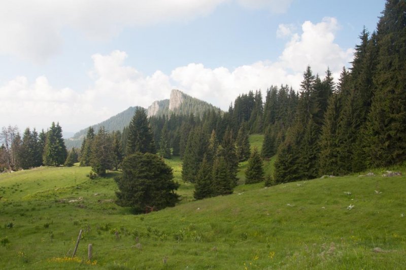 Хотел Невястата - Снимка 11