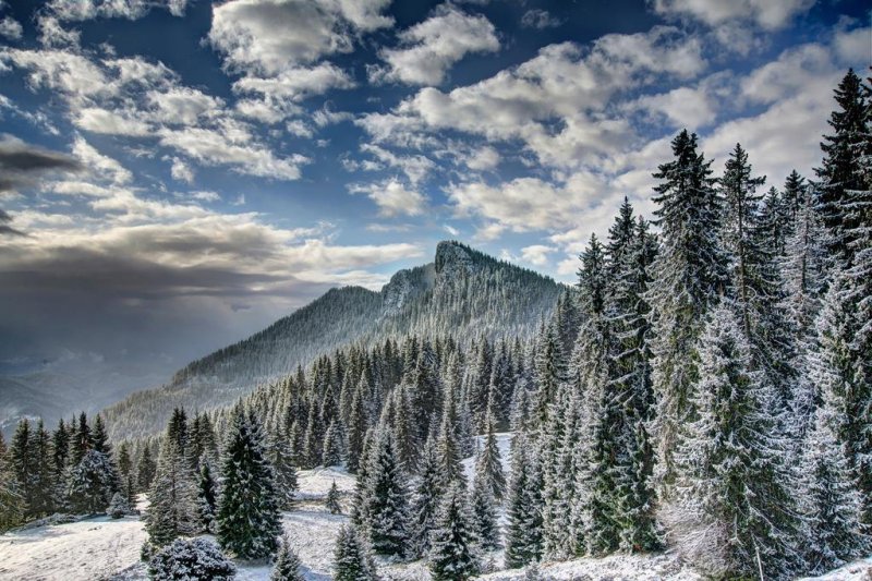 Хотел Невястата - Снимка 9