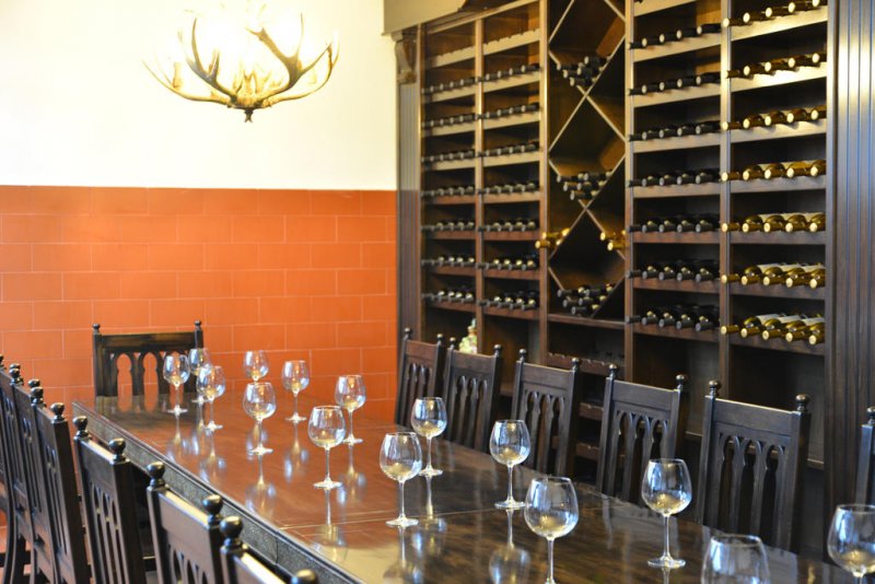 Шато - хотел Трендафилофф - Снимка 9