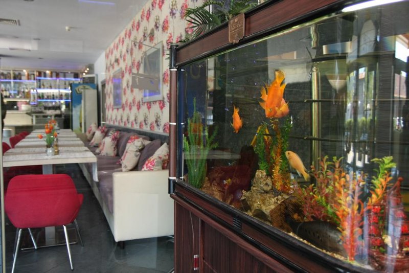 Aqua Hotel - Снимка 5