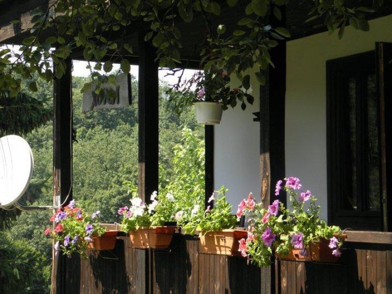 Джелеповата къща - Снимка 4